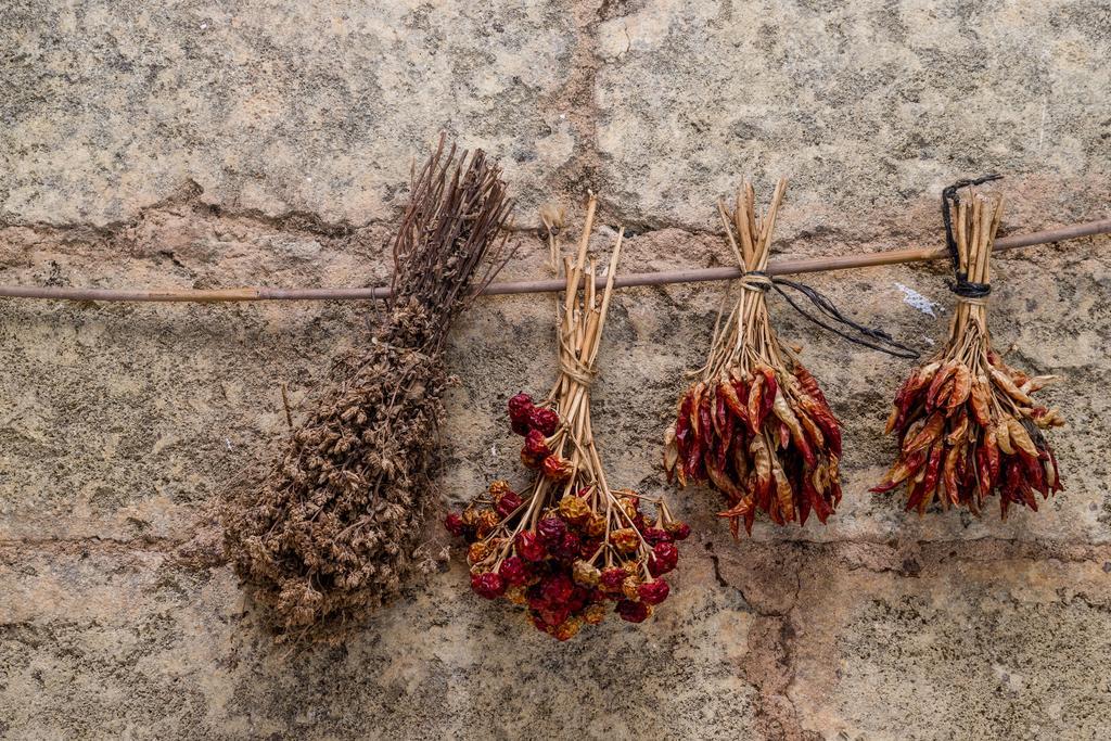 Masseria La Gresca Vignacastrisi Esterno foto